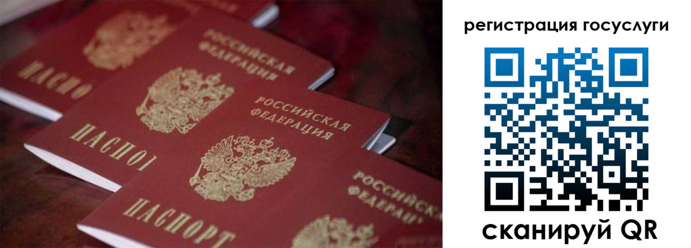 где прописаться в Юрьев-Польском